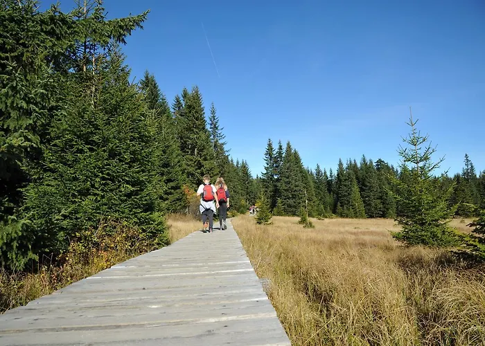 Apartment Tyrolska Zagroda - 50m2 Z Wlasnym Balkonem Lub Tarasem, Blisko Sklep, Dobry Dojazd, Duzy Parking, Pkp 15min, Pks 5min Karpacz